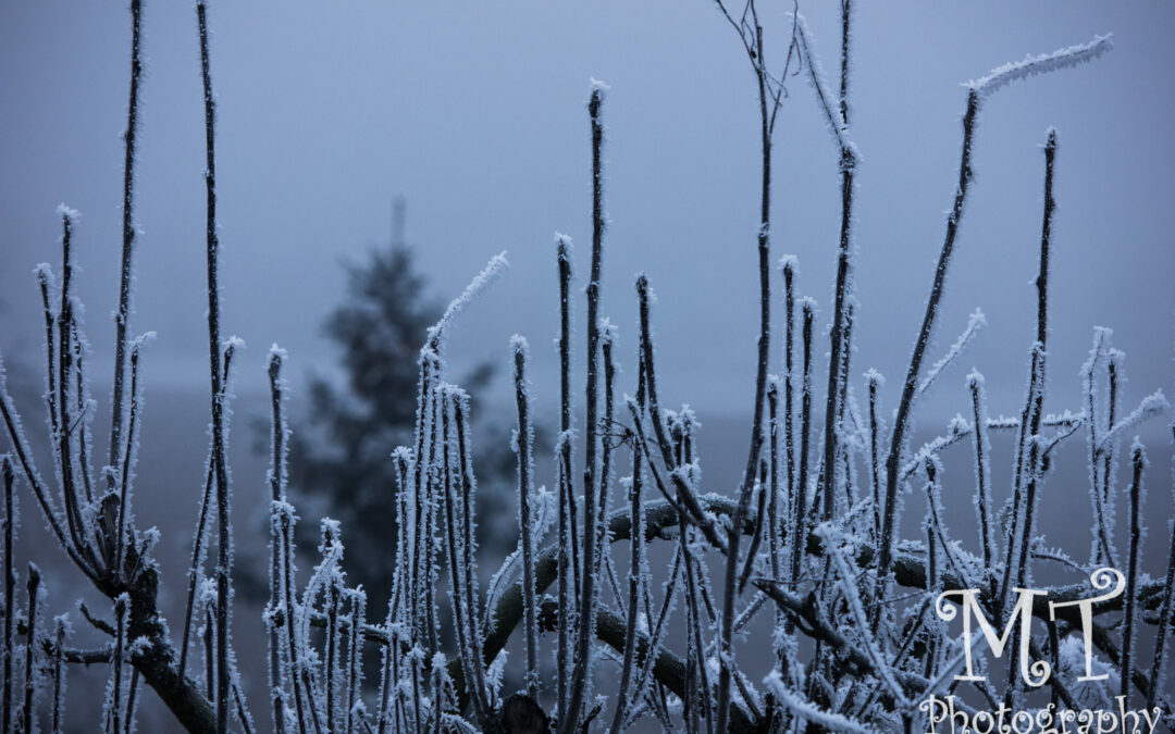 Winterwetter im Jahr 2016