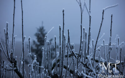 Winterwetter im Jahr 2016